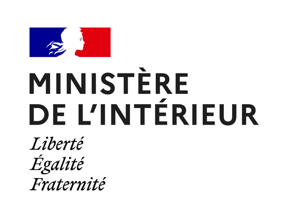 SELFIM — Application de détection de fraude à l'immatriculation - 1